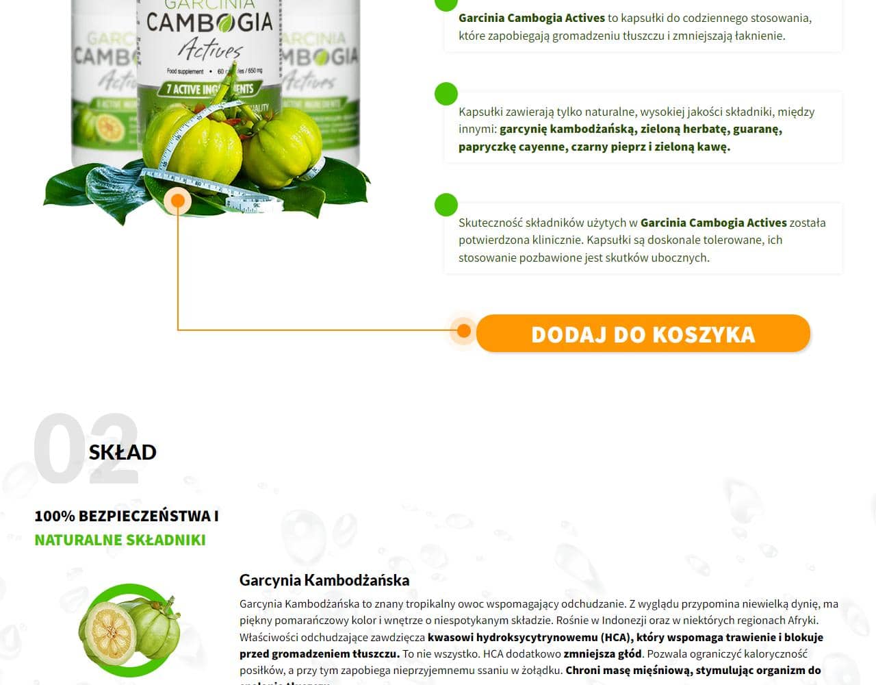 Garcinia Cambogia Actives 2