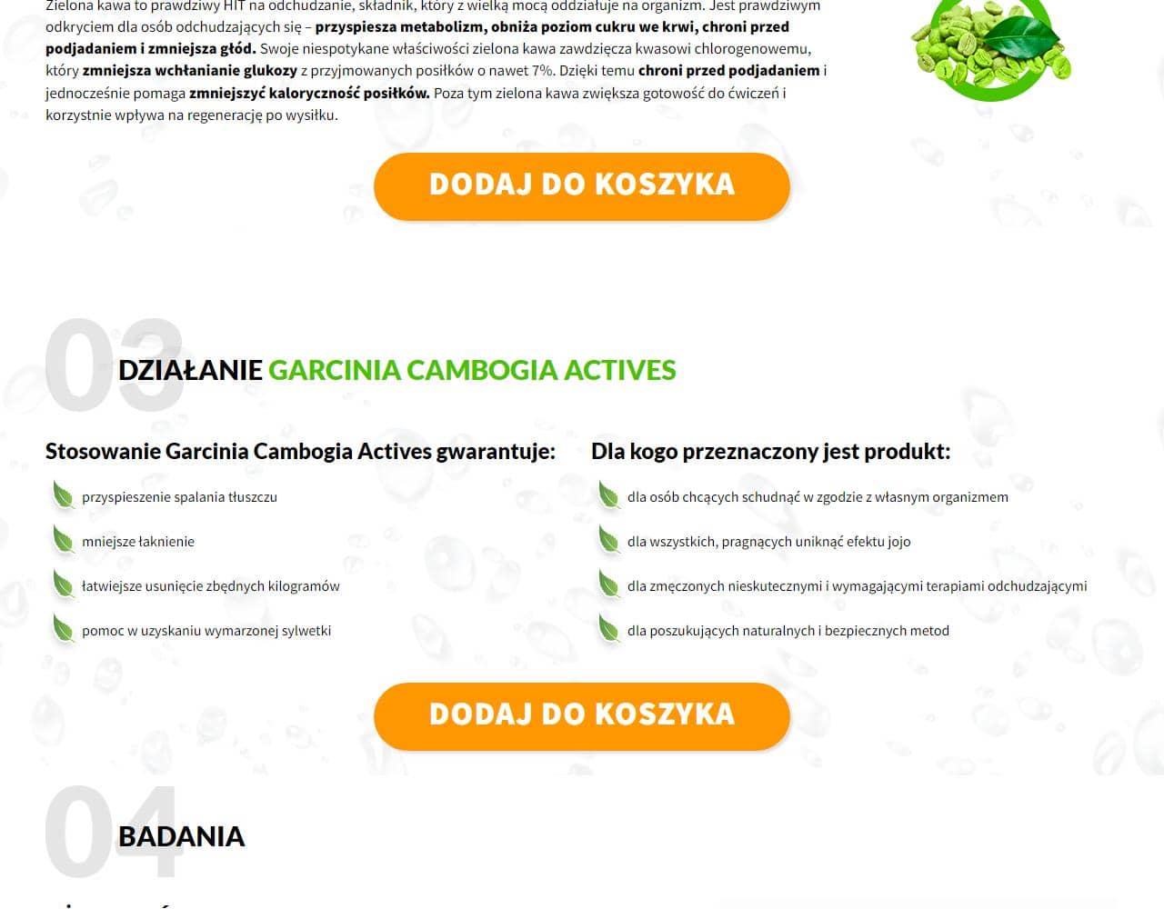 Garcinia Cambogia Actives 4