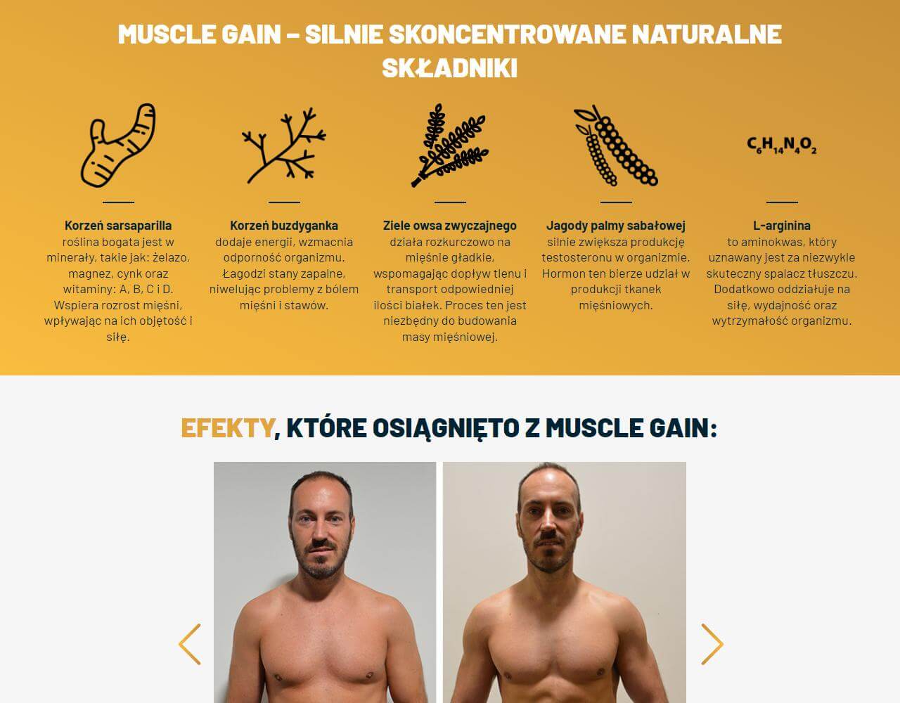 Muscle Gain 3